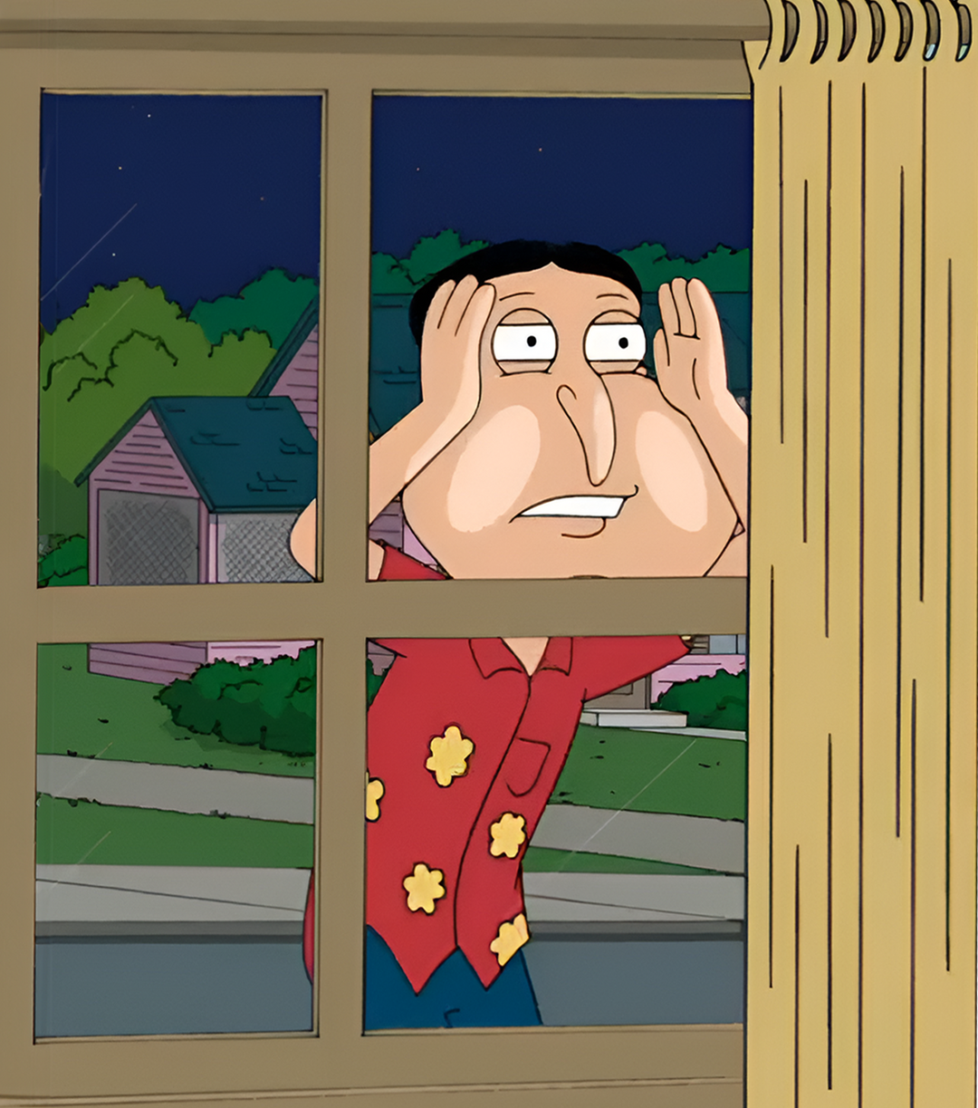 Quagmire Flag