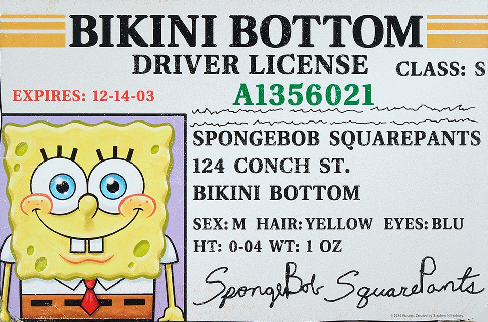 SpongeBob Bikini Bottom License Flag