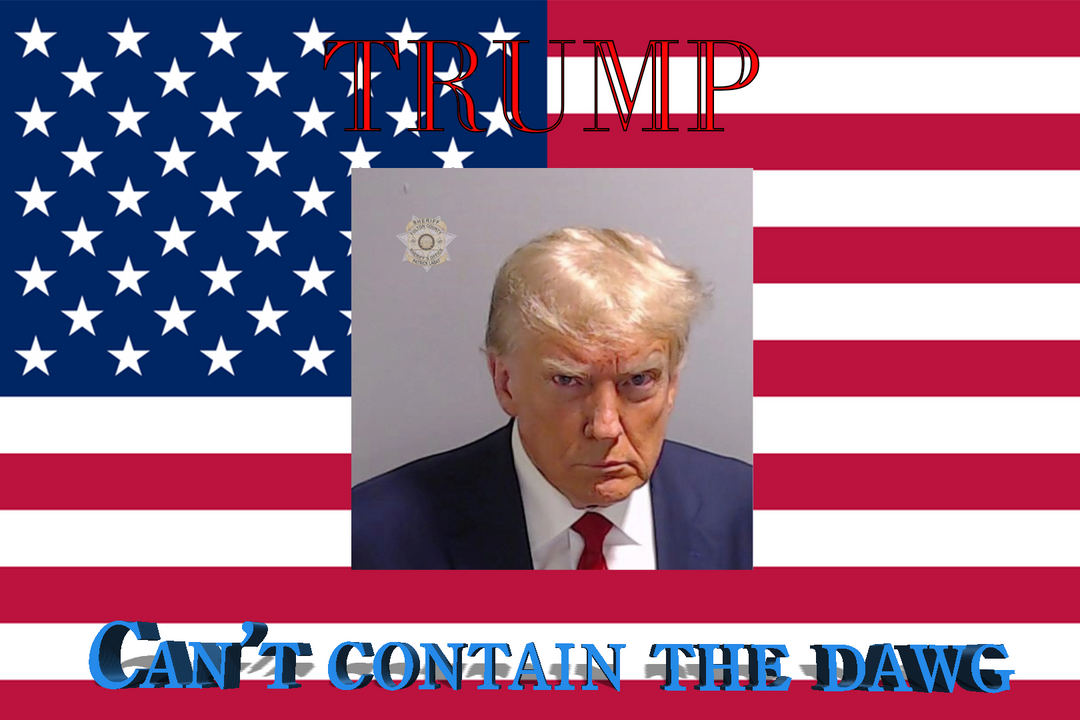 Trump Flag