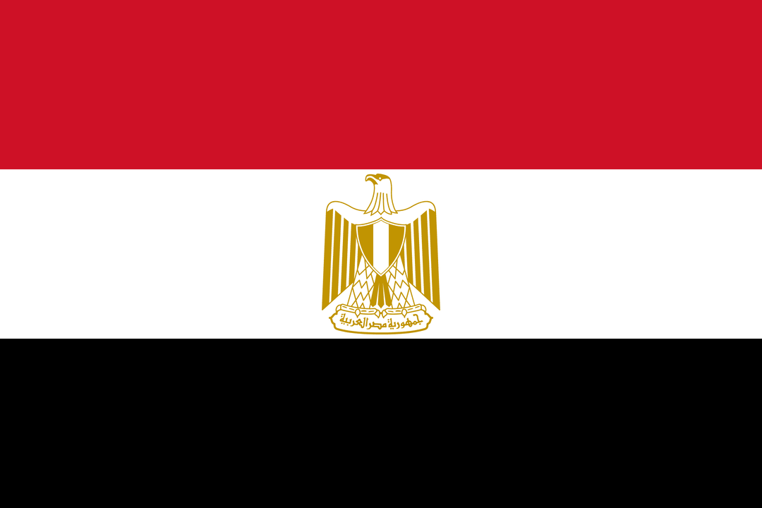 Egypt flag, 3x5 ft polyester wall flag with grommets