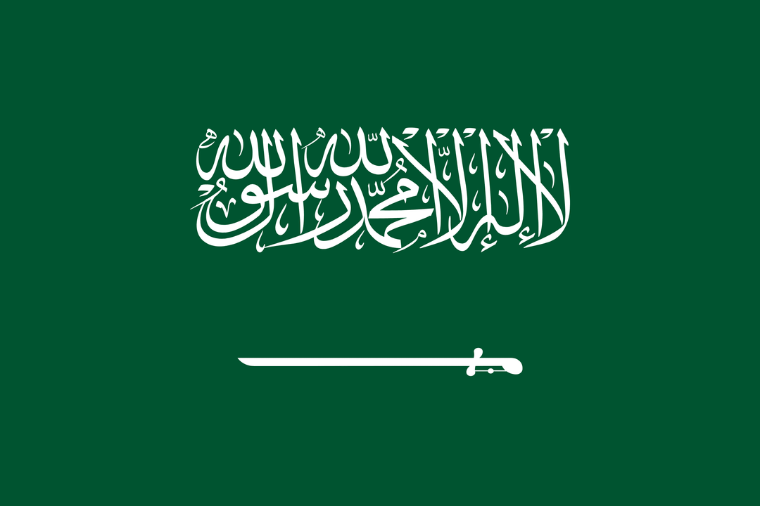 Saudi Arabia flag, 3x5 ft polyester wall flag with grommets